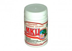 МКЦ с шиповником 100 шт. табл. 500 мг